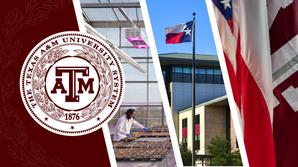 TAMUS seal with photos from various locations