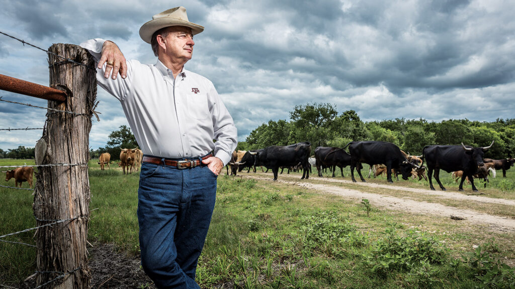 John Sharp leans against a post looking at cattle grazing.