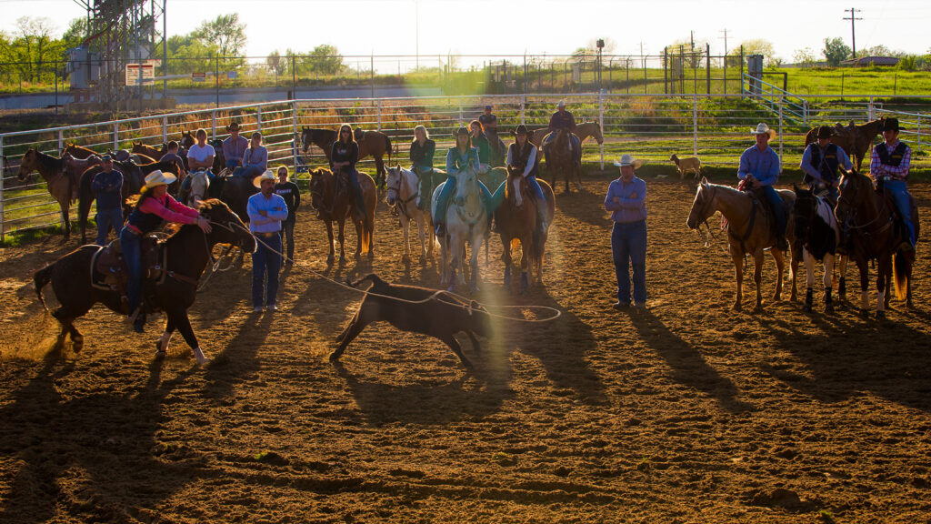 A cowgirls works on her roping while in a pin. Many others look on.