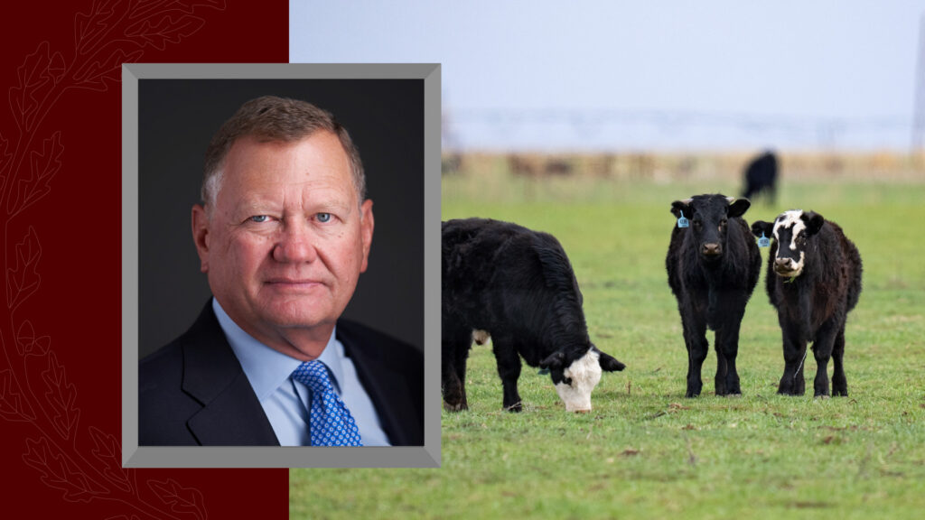 Portrait of Regent John Bellinger in a suit displayed beside cattle grazing in a pasture.