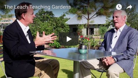 Leach Teaching Gardens