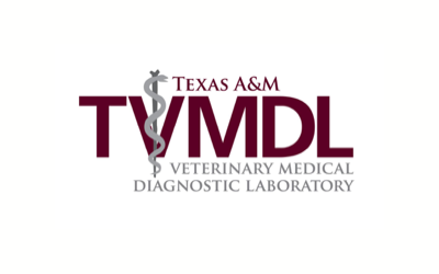 Texas A&M Veterinary Lab Tests People for COVID-19 Despite Federal Red Tape limiting Capacity